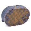 1 AGRUM-TARTE SPUGNA DI SAPONE - TOP UP
