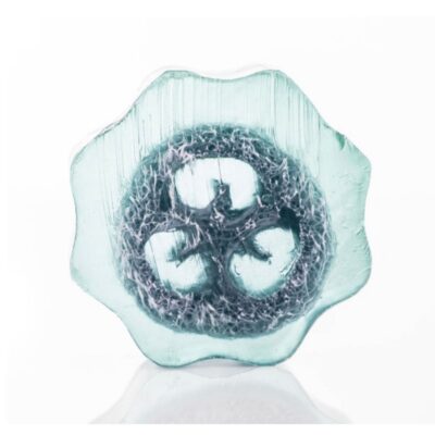 386.jpg SAPONE LUFFA SPORT