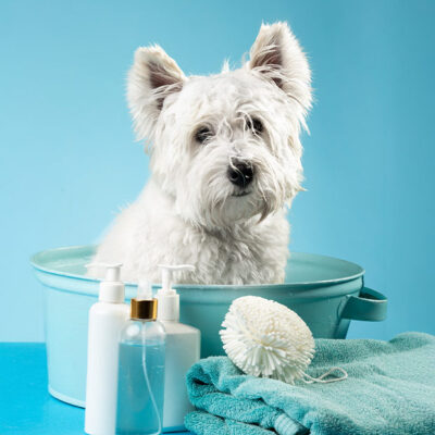 prodotti-per-animali AGRUM-TARTE - GEL DOCCIA