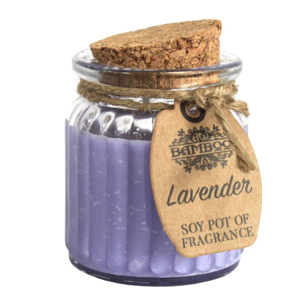2 CANDELA IN CERA DI SOIA LAVANDA